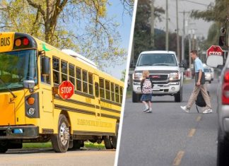 Российский турист был удивлен, узнав, что американские водители боятся школьных автобусов больше, чем полицию