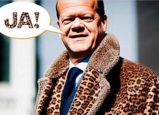 Танкешон. Реакция Сети на решение Шольца