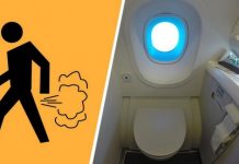 Баки с фекалиями пассажиров из самолетов тайно забирают ученые