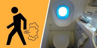 Баки с фекалиями пассажиров из самолетов тайно забирают ученые