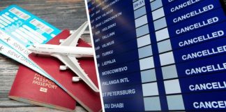 Это фиаско: крупнейшая авиакомпания мира отменяет 34 000 рейсов на это лето