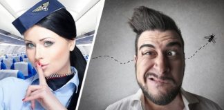 Стюардесса сказала туристке, что у нее глупое лицо, вызвав скандал