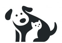 Места для пассажиров с детьми предложили помечать особым знаком