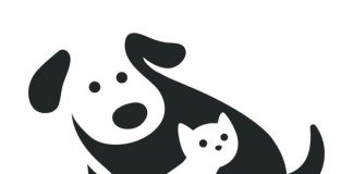 Места для пассажиров с детьми предложили помечать особым знаком