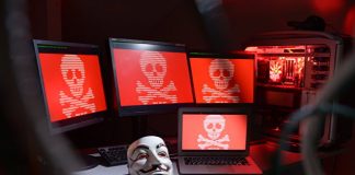 Сервисы ФТС России подверглись DDoS-атакам
