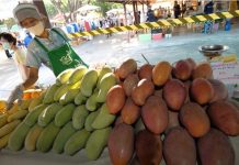 В Таиланде начался сезон манго: туристам сообщили о лучших сортах и где их купить