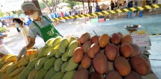 В Таиланде начался сезон манго: туристам сообщили о лучших сортах и где их купить