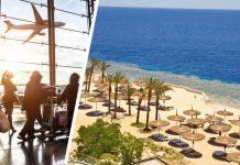 Всюду немцы и поляки, а россиян нет: Хургада и Марса-Алам отчитались о прибытии рейсов с туристами