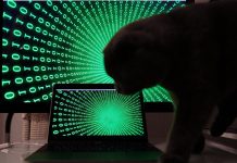 Kaspersky отметила рост числа утекших в сеть значимых баз данных в России