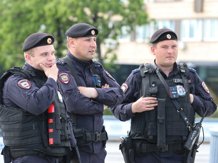 Верховный суд разъяснил, кого накажут за нападение на полицейских или инспекторов