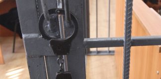 Мигрант получил 22 года за убийство 2-летнего ребенка со второй попытки