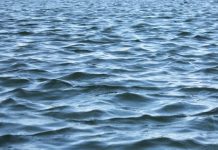 Названы последствия сброса Японией радиоактивной воды «Фукусимы» в океан