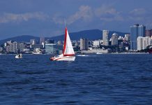 Россиян предупредили о мошеннических схемах с отпусками