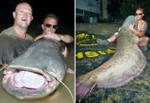 Туристы в Испании поймали сома-монстра весом более 110 кг