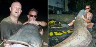 Туристы в Испании поймали сома-монстра весом более 110 кг