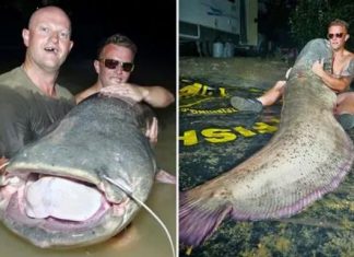 Туристы в Испании поймали сома-монстра весом более 110 кг
