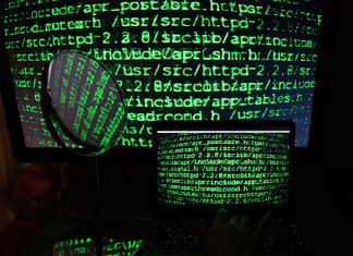 Затраты на ПО для госучреждений России выросли на 24,4 процента