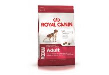 Корм для кошек и собак Royal Canin: почему его выбирают