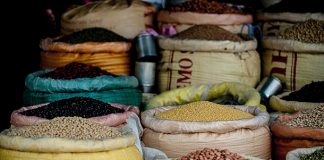 Кабмин упростил ввоз незарегистрированных растений