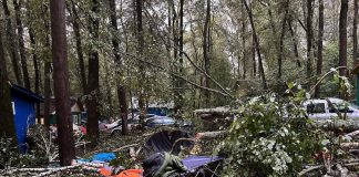 «Лес осыпался как карточный домик»: ураган убил гостей приокской турбазы