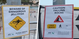 С туристами начали бороться, устанавливая фальшивые таблички на пляжах