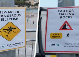 С туристами начали бороться, устанавливая фальшивые таблички на пляжах
