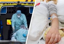 Более 70 туристов начали рвать кровью после заражения паразитарной инфекцией в отеле популярного курорта