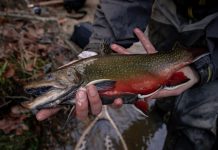 Минюст установил, какой конфискат следует передавать в собственность регионов