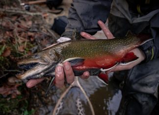 Минюст установил, какой конфискат следует передавать в собственность регионов