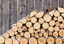 Украинцев начинают готовить к холодной зиме: в приоритете дрова и уголь