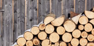 Украинцев начинают готовить к холодной зиме: в приоритете дрова и уголь