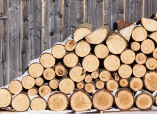 Украинцев начинают готовить к холодной зиме: в приоритете дрова и уголь