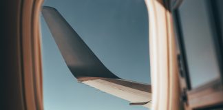 Эксперт ВОЗ объяснила секс дебоширки с пассажиром самолета: случается при слабоумии