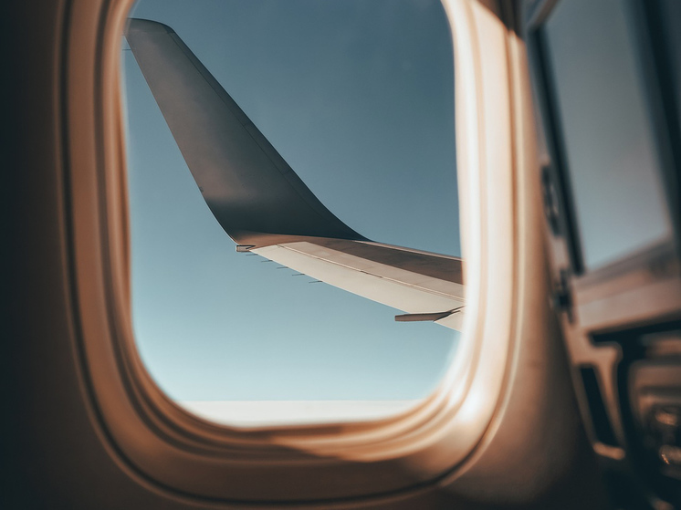 Эксперт ВОЗ объяснила секс дебоширки с пассажиром самолета: случается при слабоумии
