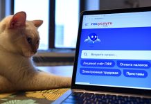 Россиян предупредили о новой уловке мошенников