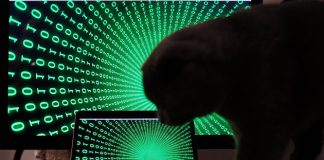 Эксперт оценил возможности хакеров создать ботнет из умных устройств