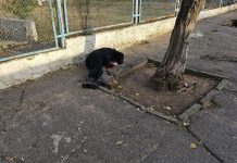 Россияне убили двух человек в центре Херсона