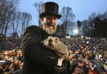 В День сурка умер предсказывающий весну сурок