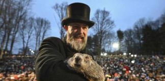 В День сурка умер предсказывающий весну сурок