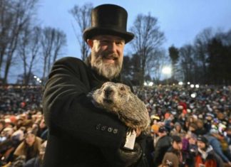В День сурка умер предсказывающий весну сурок