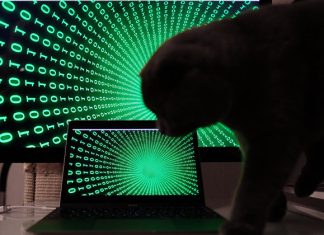 В США зафиксировали беспрецедентные кибератаки на инфраструктуру