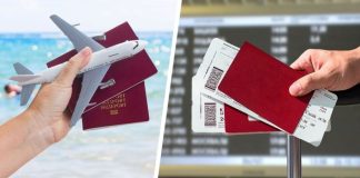 Новая турецкая авиакомпания начала распродажу авиабилетов за 1 доллар