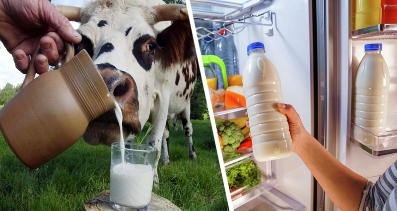 Правильное место: почему молоко лучше не хранить на дверце холодильника?