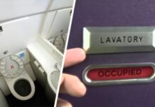Как правильно ходить в туалет в самолёте: стюардесса дала полезные советы