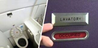 Как правильно ходить в туалет в самолёте: стюардесса дала полезные советы