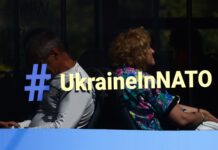 Мост вместо необратимости. Споры по Украине в НАТО