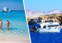 На египетском курорте затонул катер с туристами, налетев на коралловый риф: на борту было 24 отдыхающих