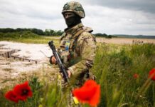 В ОП рассказали об обязанностях военной полиции