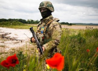 В ОП рассказали об обязанностях военной полиции