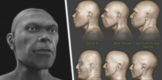 Восточная Африка больше не колыбель человечества: раскрыто лицо старейшего человека которому 300 000 лет и он из другого места